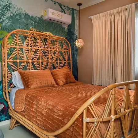 Casa Yellowstone - A Gem In The Hidden Jungle